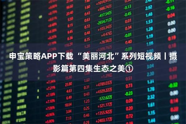 申宝策略APP下载 “美丽河北”系列短视频丨摄影篇第四集生态之美①