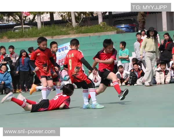 老蒋足球球星成长之路与绿茵赛场上的辉煌瞬间